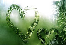 风之领域写真 NO.061