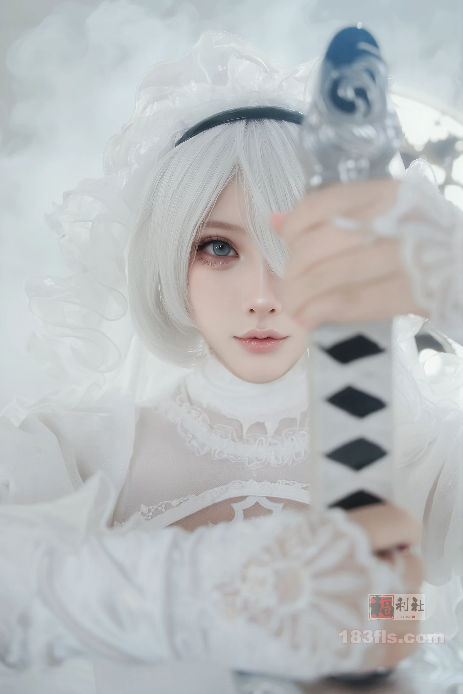 CatDemon喵崽 - 尼尔·机械纪元 2B 狂野新娘